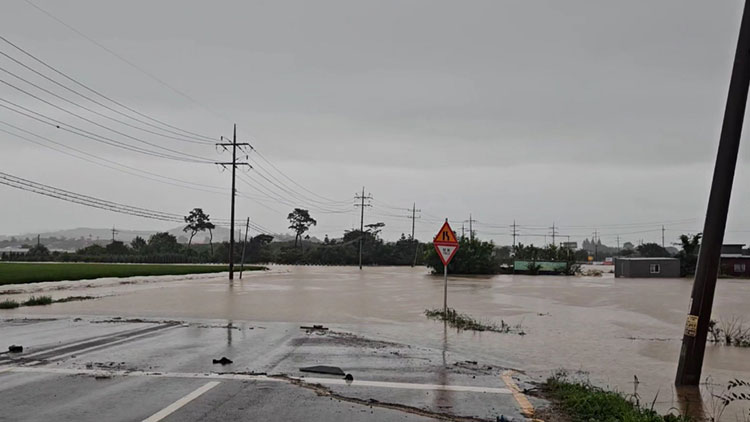 호우경보가 발효된 충남 서산시 석림동 청지천이 범람해 도로와 인근 마을이 물에 잠겨 있다. /연합뉴스
