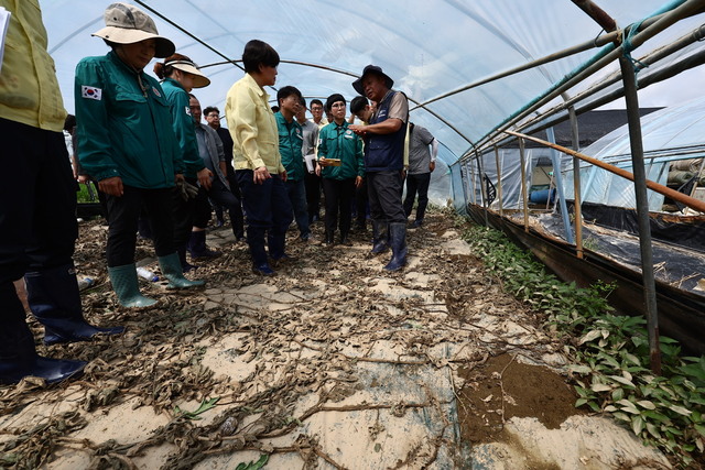 송미령 농식품부 장관이 20일 충남 부여군 소재 시설원예 농가를 방문해 피해상황을 점검하고 있다. / 농림축산식품부 제공