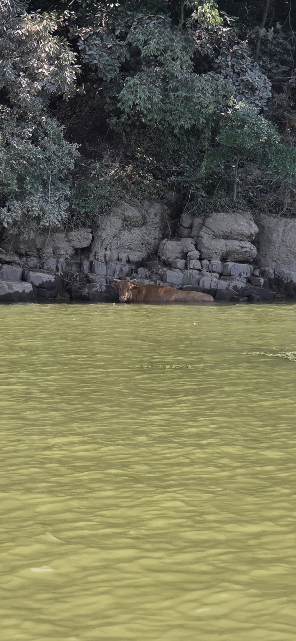경남 진주경찰서 제공