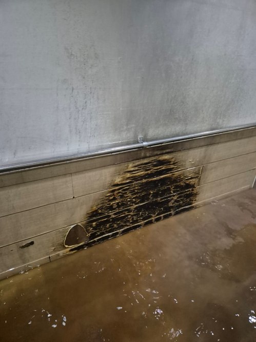 /대구소방본부 제공