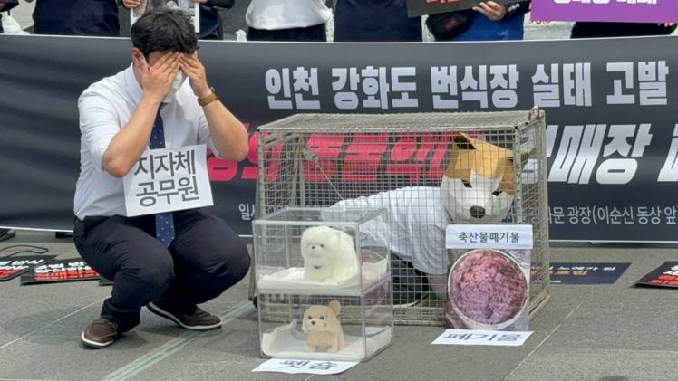 동물보호단체 연합 '루시와 친구들' 관게자들이 인천 강화도 번식장 실태를 재현하는 모습
