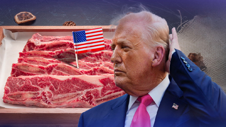 /TV조선 방송화면 캡처 