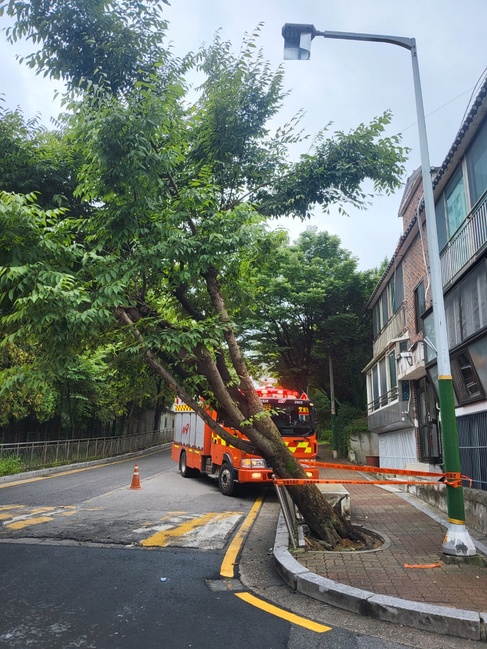 경기도북부소방재난본부 제공