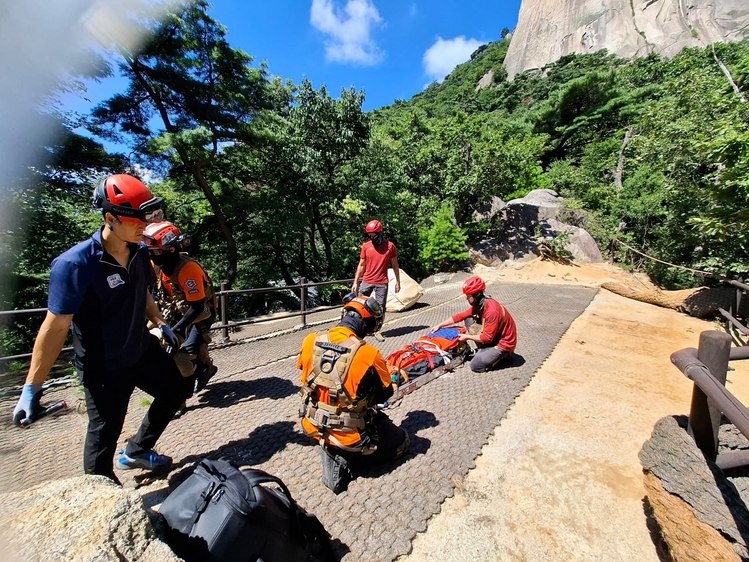 서울119특수구조단 제공