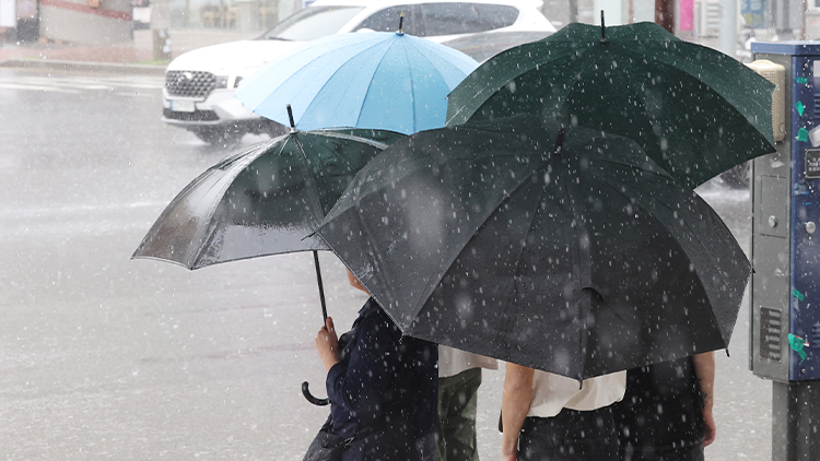 거리에서 시민들이 우산을 쓰고 있다. /연합뉴스 