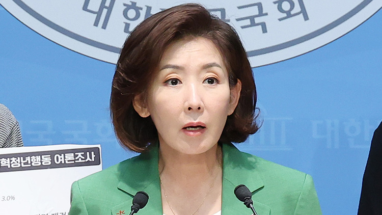 나경원 국민의힘 의원 /연합뉴스 