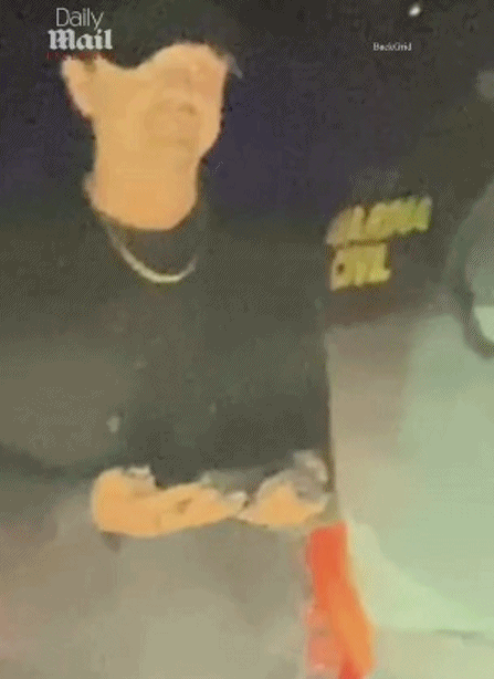 /데일리메일 영상 캡처