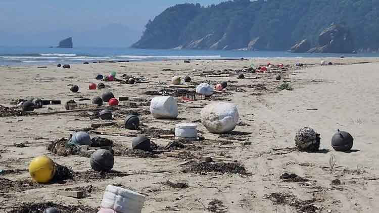 백령도 사곶 해안은 매일 아침 중국 쓰레기와 사투를 벌인다

