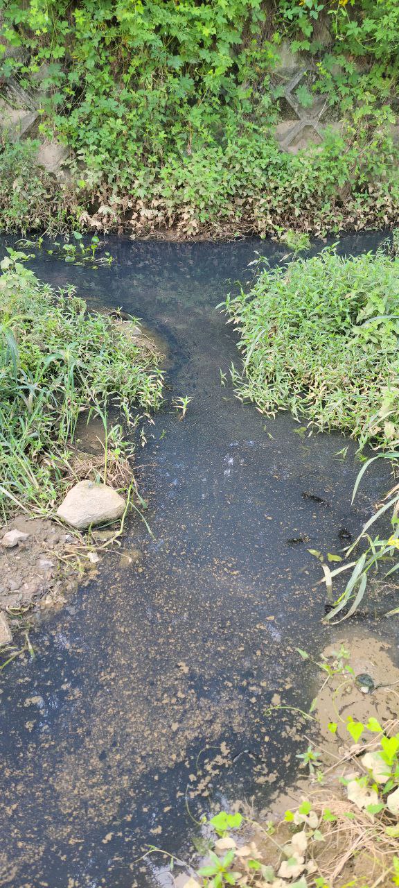 광명시 기아천 일부 구간 오염 / 신용현 제공