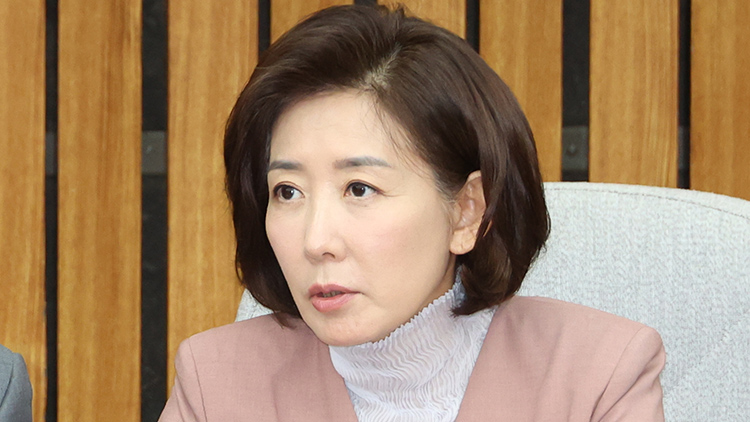 국민의힘 나경원 의원 /연합뉴스