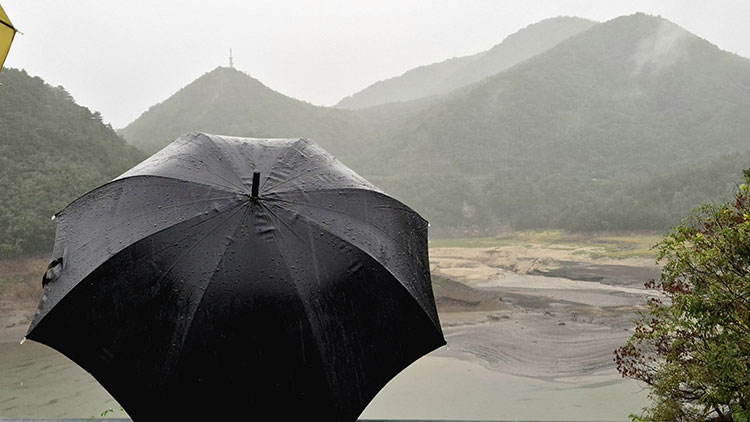 지난 13일 가뭄으로 메마른 강원 강릉시 오봉저수지 일원에 비가 내리자 시민들이 우산을 쓰고 바라보는 모습 /연합뉴스
