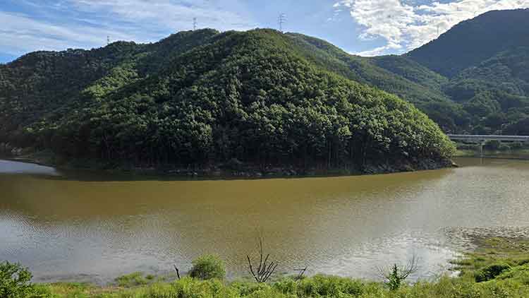 최악 가뭄으로 재난사태까지 선포됐던 강원 강릉지역 생활용수 87%를 공급하는 상수원 오봉저수지의 23일 오전 상류까지 물이 차오른 모습이다. /연합뉴스