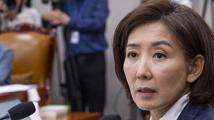 국민의힘 나경원 의원 /연합뉴스 