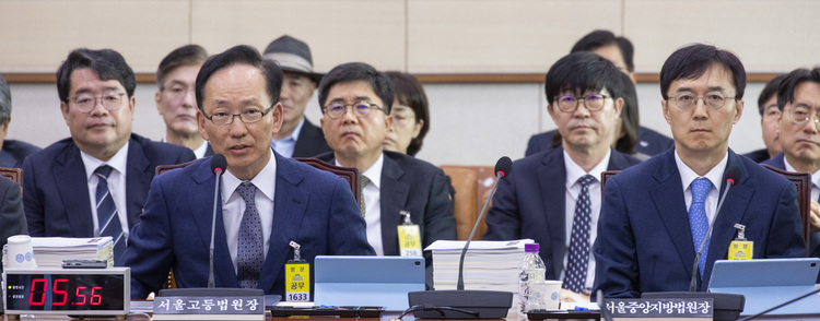 김대웅 서울고등법원장이 20일 국회 법제사법위원회에서 열린 2025년도 법사위 국정감사에 출석해 의원 질의에 답하고 있다.  /연합뉴스 