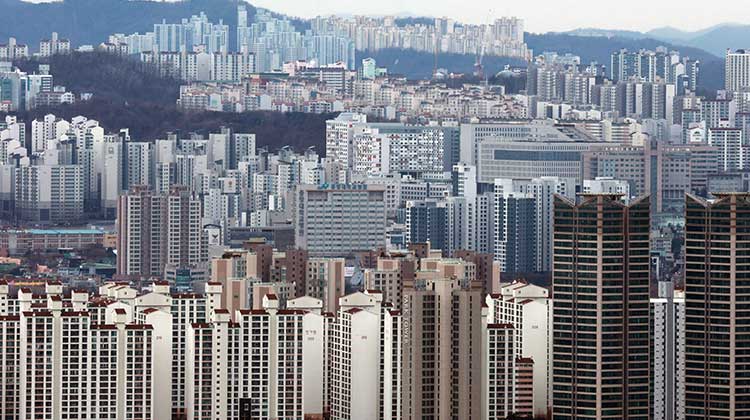 TV조선 방송화면 캡처