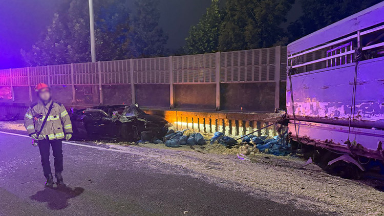 /시청자 송영훈 제공