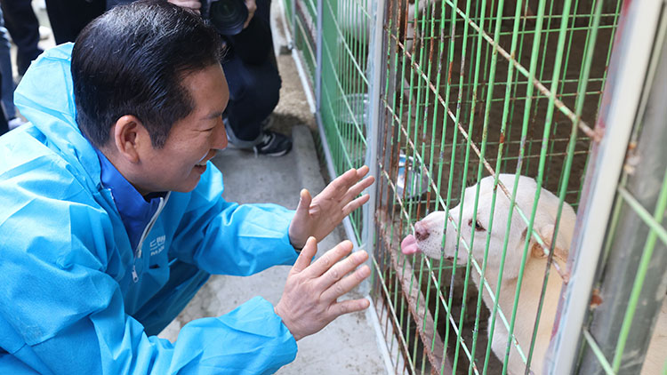 더불어민주당 정청래 대표가 9일 경기도 용인시 유기견 보호소 '행복한 강아지들이 사는 집'에 방문, 강아지와 인사하고 있다. /연합뉴스 