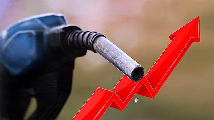 /TV조선 방송화면 캡처 