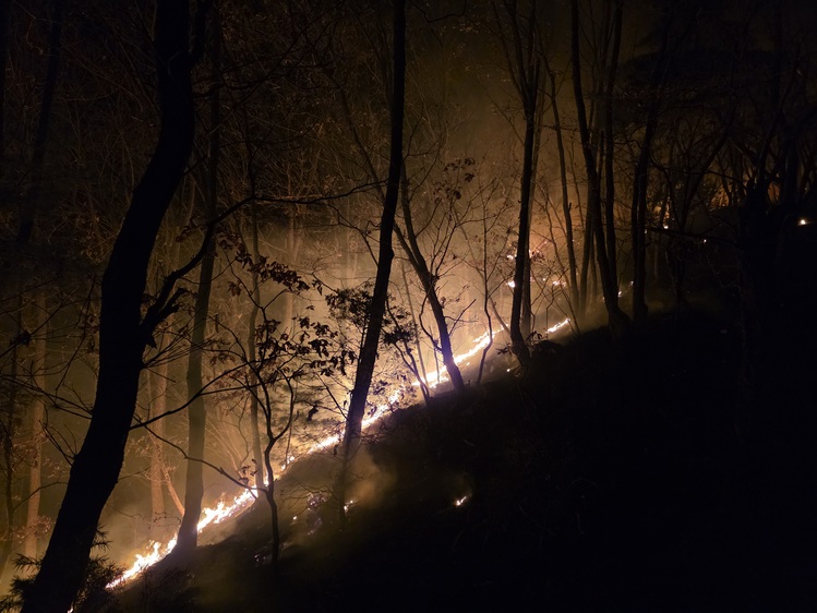 경기북부소방재난본부 제공