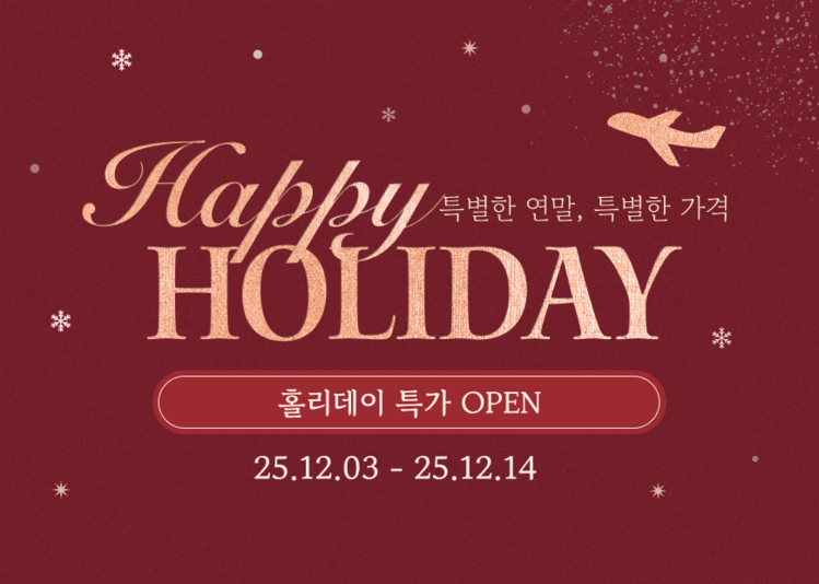 티웨이항공, 연말 맞이 '해피 홀리데이' 특가 행사 진행..."14일까지, 국... - 뉴스 썸네일 이미지