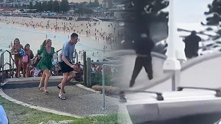 호주 총기 난사, 16명 사망·40여 명 부상…"유대인 노린 테러"