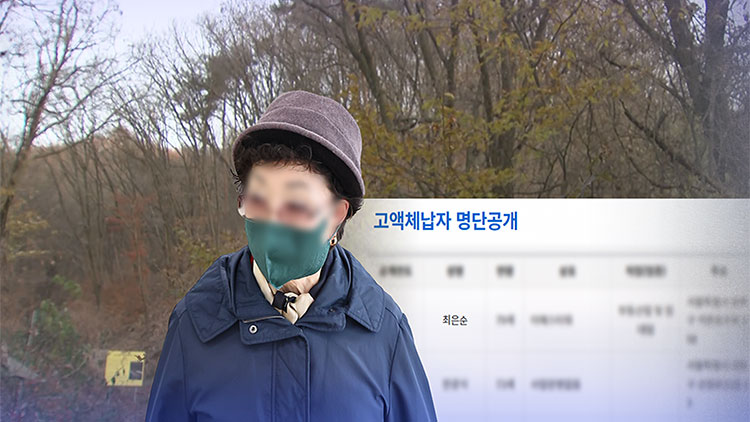 과징금 25억 안 낸 '김건희 母', 전국 부동산 21개 소유
