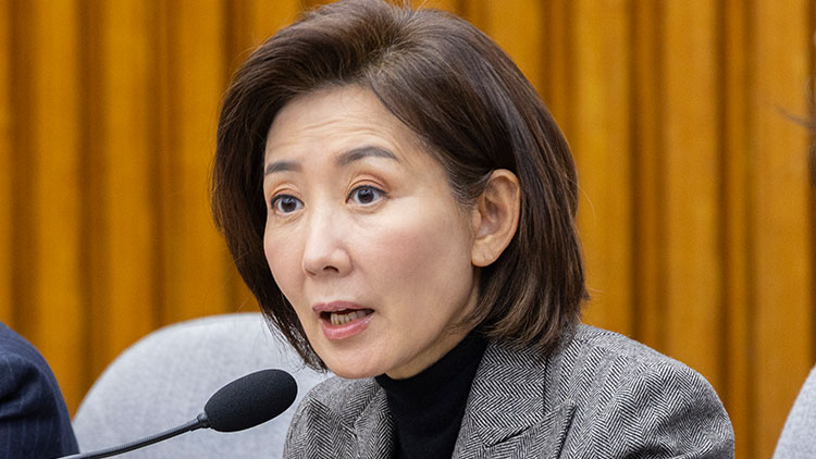 국민의힘 지방선거총괄기획단 단장을 맡고 있는 나경원 의원 /연합뉴스