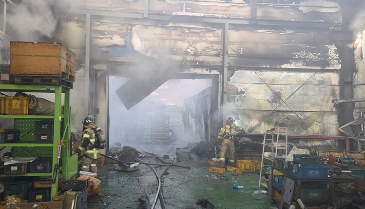 경북소방본부 제공