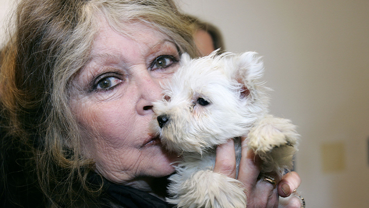 브리지트 바르도 /AFP=연합뉴스