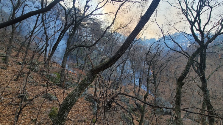 강릉 연곡면 국유림 산불
