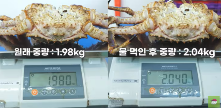 /유튜브 화면 캡처