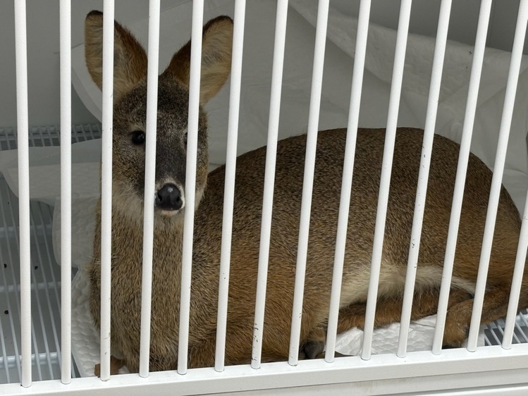 인천 남동구 제공