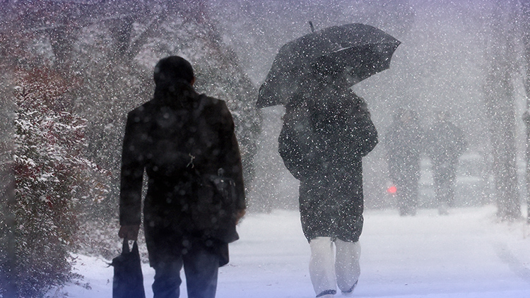 /TV조선 방송화면 캡처