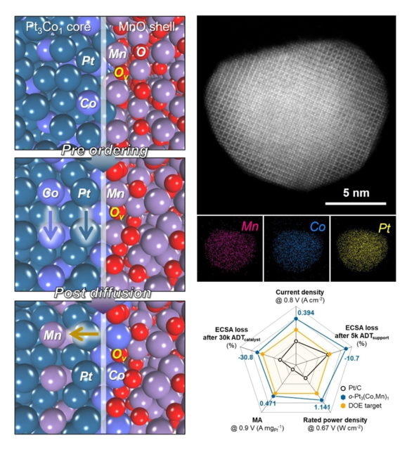 해당 연구에서 개발된 촉매의 형성과 작동 원리를 도식화한 그림 / 제공 : 고려대학교