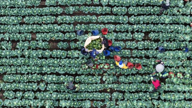 농가 인구 첫 200만 명 붕괴...65세 이상 56% - 뉴스 썸네일 이미지