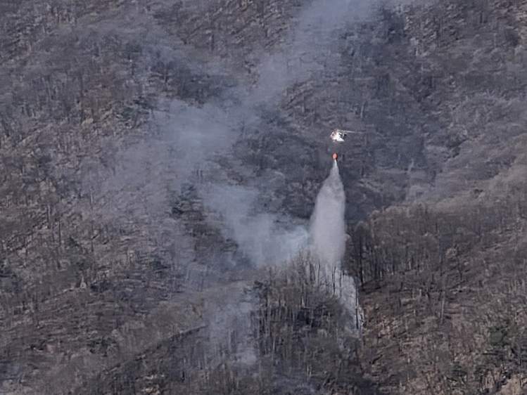 강원특별자치도 산불방지대책본부