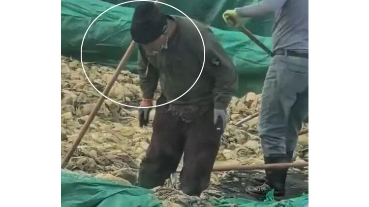 중국 공장 배추에 침 뱉고 담배 꽁초? 우웩