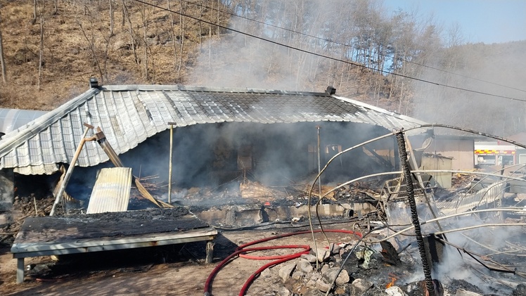 경북소방본부 제공