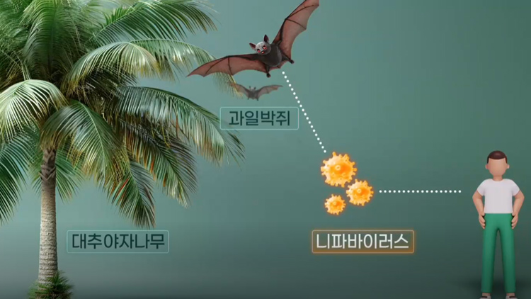 /TV조선 방송화면 캡처
