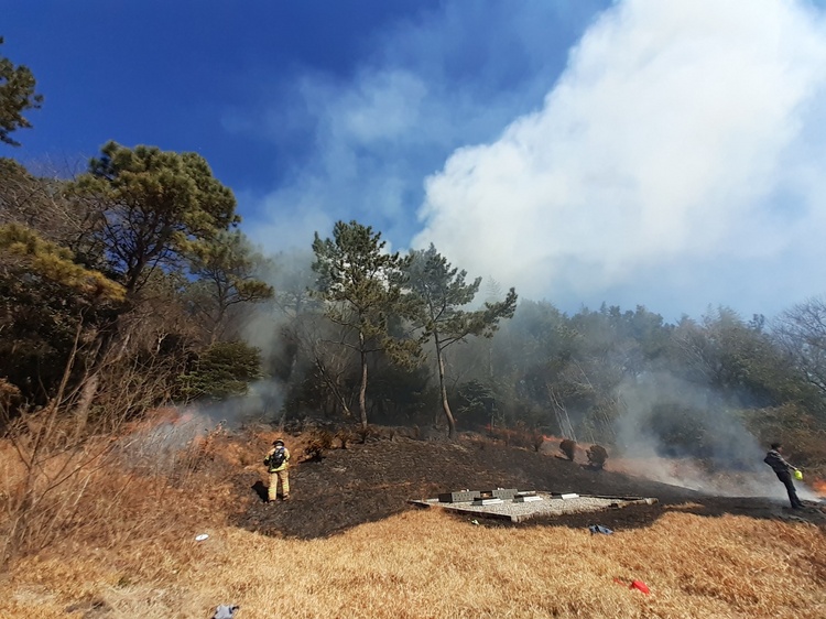 전남소방본부 제공