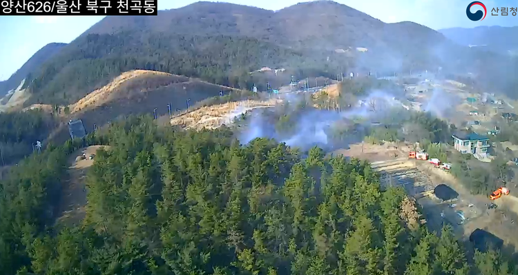 울산 북구 산불 / 산림청 제공