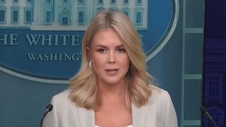 캐롤라인 레빗 미 백악관 대변인 /TV조선 방송화면 캡처