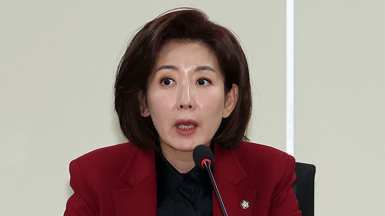 국민의힘 나경원 의원 /연합뉴스