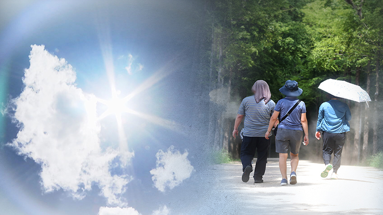 /TV조선 방송화면 캡처