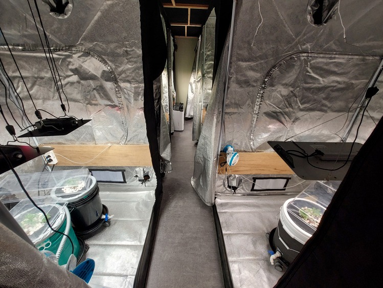 중부해양경찰청 제공