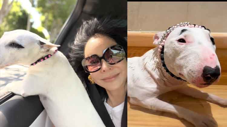 /이혜영 인스타그램 캡처