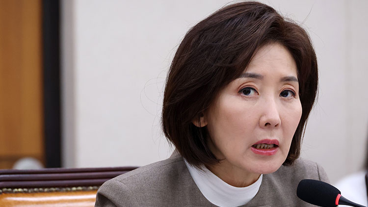국민의힘 나경원 의원 /연합뉴스
