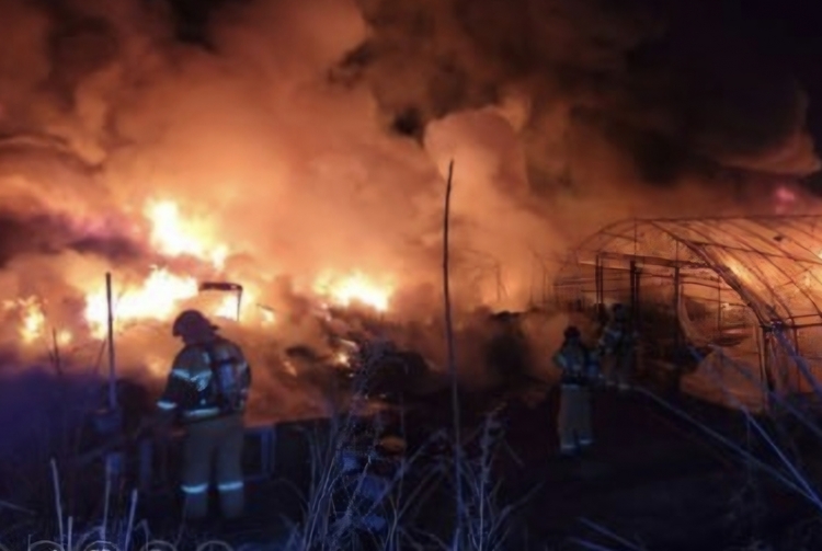 /경기도소방재난본부 제공