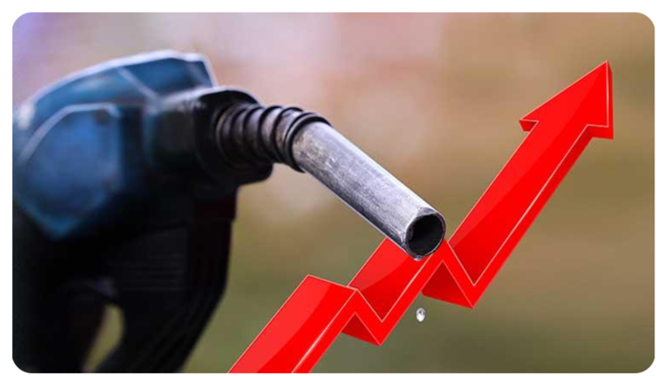 출처:TV조선 화면캡처