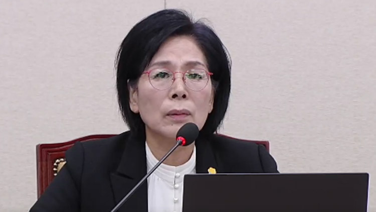 더불어민주당 최민희 의원 /TV조선 방송화면 캡처